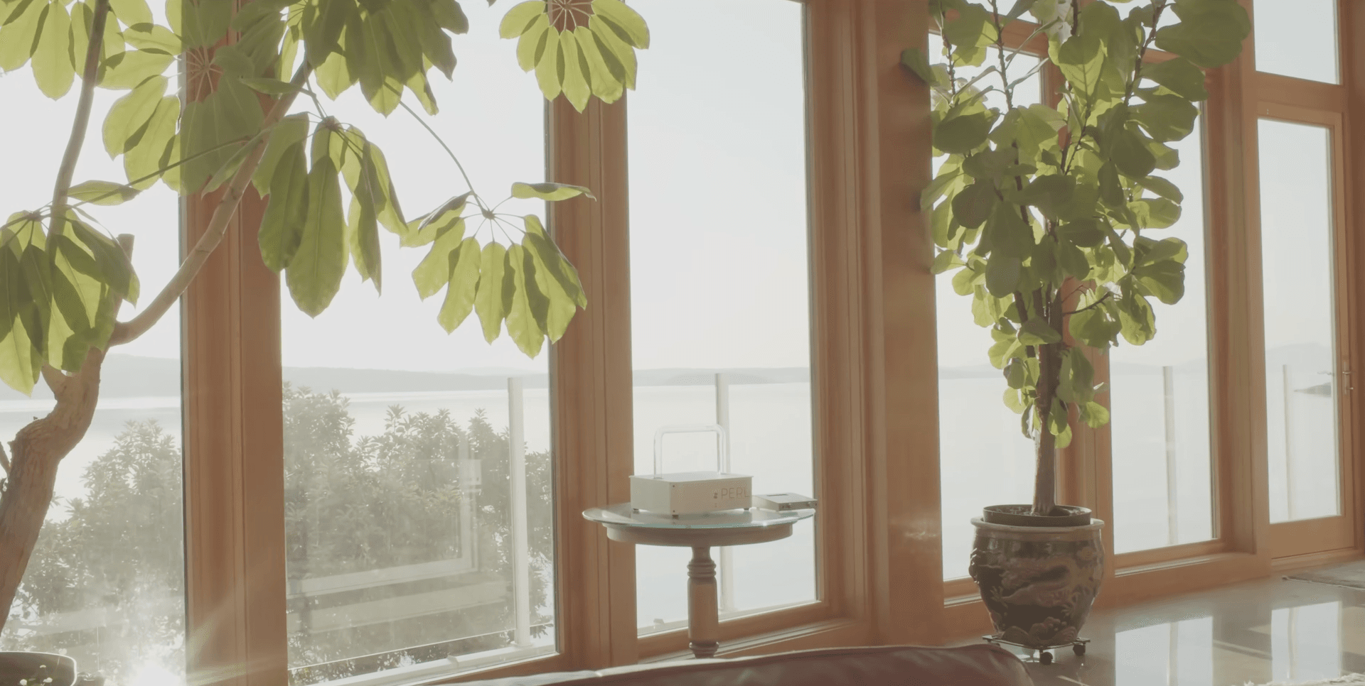 PERL device in a bright room with plants overlooking the water