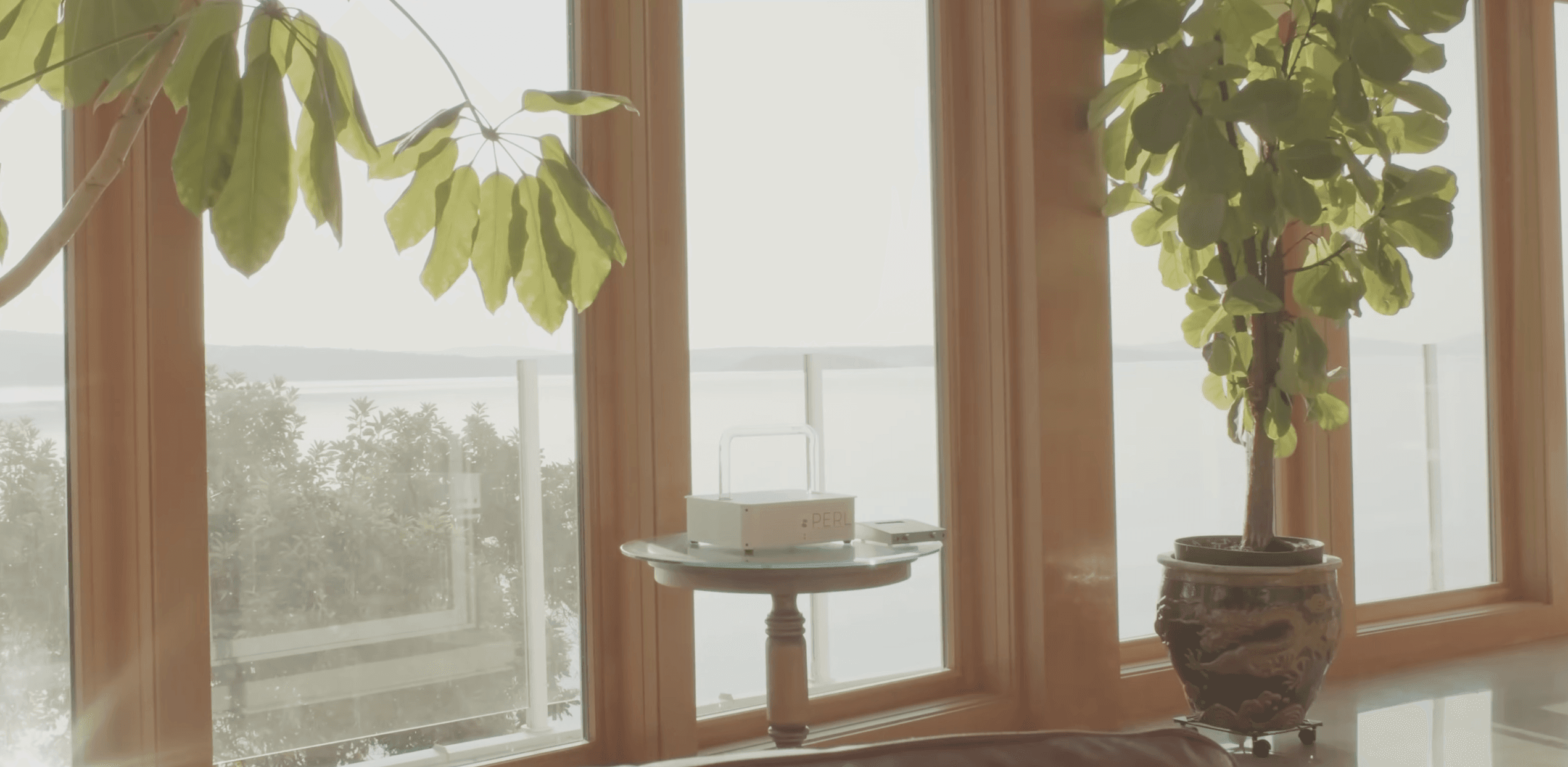 PERL in a home with plants — Wellness WiFi for people, pets, and plants